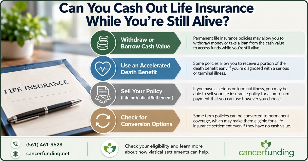 Infographic explaining can you cash out life insurance while you’re still alive? Explore cash value, accelerated death benefits, settlements, and conversion options.
